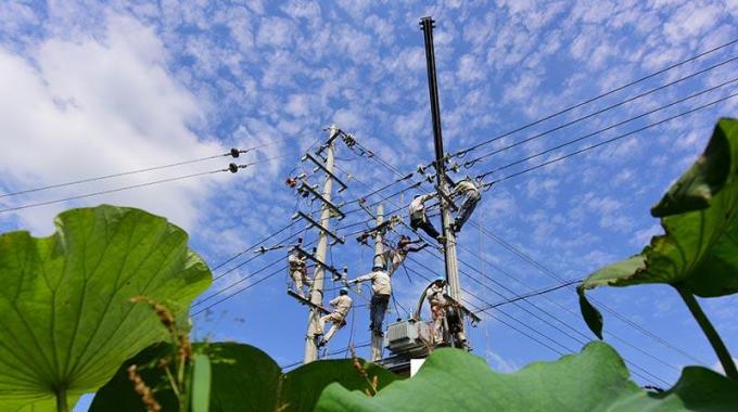 電線架到漁塘邊 養殖用電不犯愁