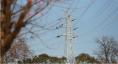 大雁頭上過 電網建設忙