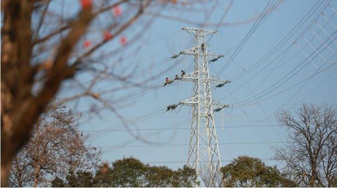 大雁頭上過 電網建設忙