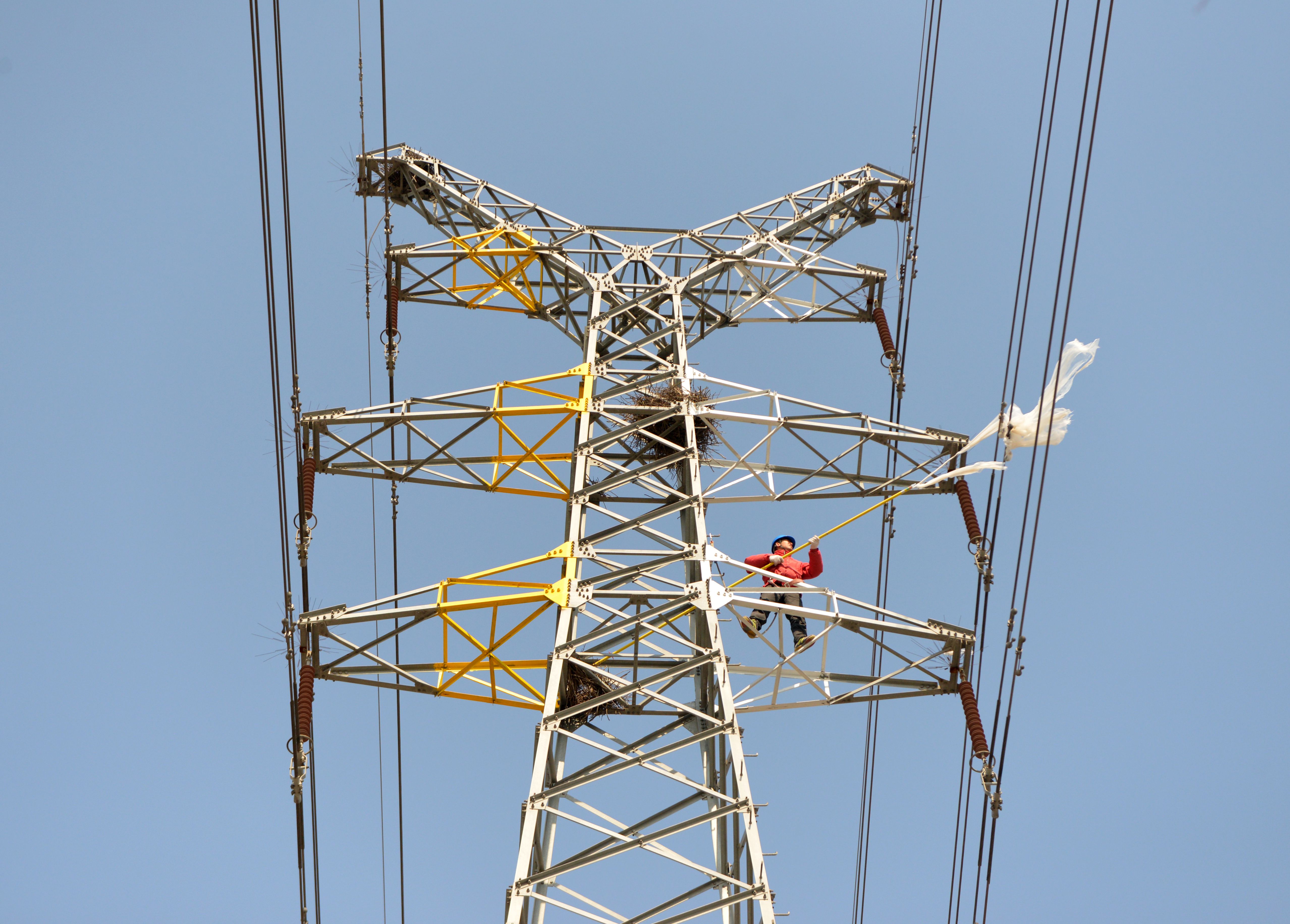 大豐供電除線路隱患保節日可靠供電