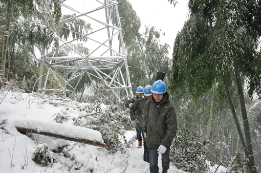 浙江電力啟動預防雨雪冰凍天氣藍色預警