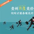 大云網(wǎng)售電觀察：貴州月度競價交易，何時才能春暖花開？