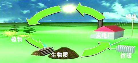 生物質是替代核電、火電 彌補天然氣缺口的一種重要新能源