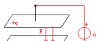 【電力小知識】認識電容器（圖）
