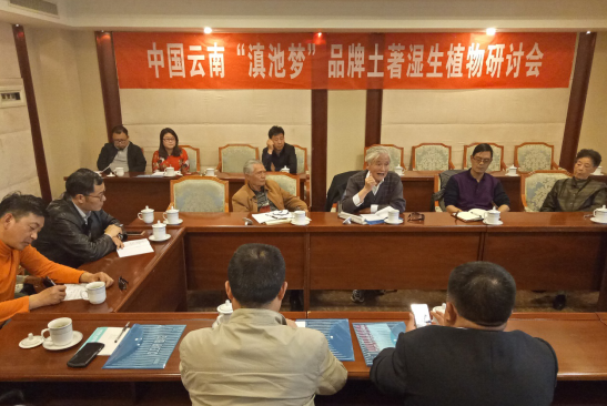 云南舉辦品牌土著濕生植物研討會 用品牌力量助推濕地生態(tài)環(huán)境建設
