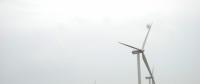 阿根廷可再生能源電力首次拍賣：風(fēng)電最便宜