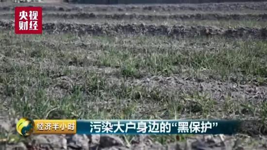 山西三維集團(tuán)惡行：廢水偷排山西母親河 污水惡臭莊稼絕收