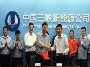 三峽新能源攜手中南院加快推進海上風(fēng)電業(yè)務(wù)