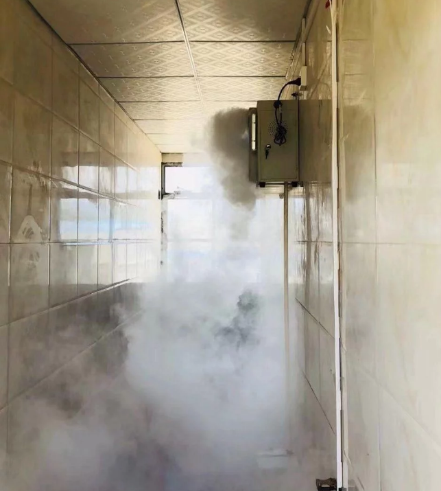 智能化養豬系統，現代化農業發展之路