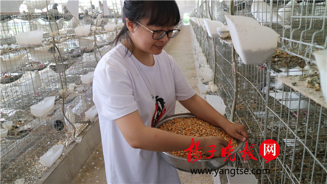一個“80”后研究生的“綠色農業(yè)夢”：用“互聯(lián)網+”思維做農業(yè)，新型職業(yè)農民“潮”起來