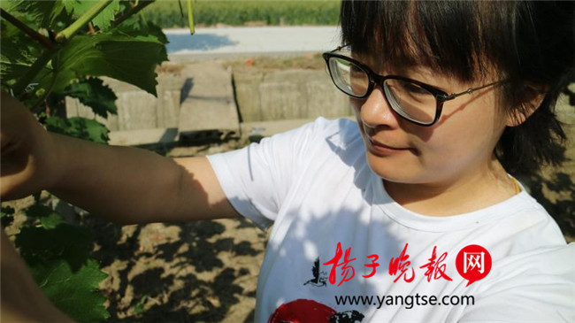 一個“80”后研究生的“綠色農業(yè)夢”：用“互聯(lián)網+”思維做農業(yè)，新型職業(yè)農民“潮”起來