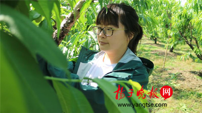 一個“80”后研究生的“綠色農業(yè)夢”：用“互聯(lián)網+”思維做農業(yè)，新型職業(yè)農民“潮”起來