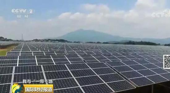 中國央企用光伏帶日本農民致富！10倍租金盤活荒廢農地