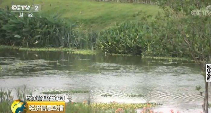 8.6公里河道有上百排污口 南寧多河被黑臭水攻陷