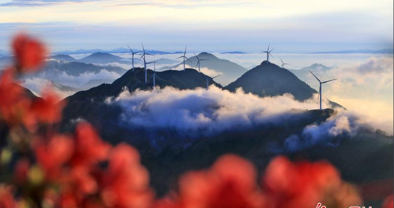 綠色風電助力節能減排