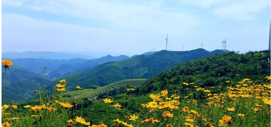 寧波一條風電工程道路 變身“最美鮮花風車公路”