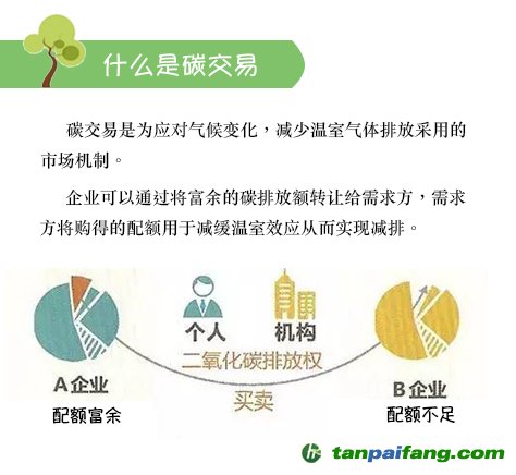 碳排放權交易全流程