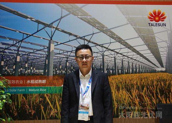 騰暉光伏常務副總裁董曙光：光伏市場將迎來去產能化過程