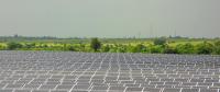印度太陽能市場持續火爆 新一輪招標迎來5GW投標