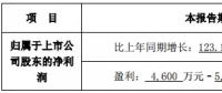 隆基、晶科齊發聲 “531”利大于弊？
