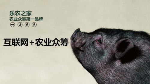 互聯(lián)網+農業(yè)眾籌只賺吆喝 利潤全被用戶拿走了？