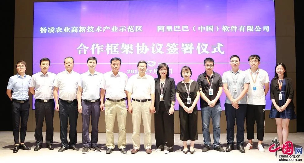 阿里攜手楊凌示范區打造“互聯網＋現代農業”典范
