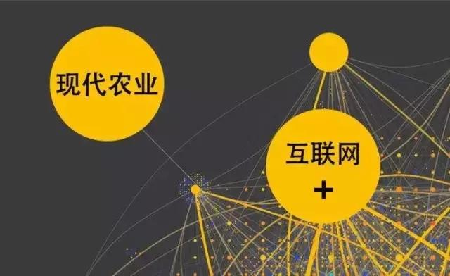 如何用“互聯網+”重塑農業競爭優勢？