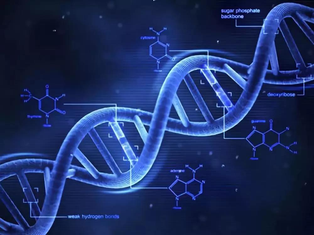 師法自然，仿生技術是如何改變世界的？
