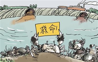 上游污水“毒死”萬畝大閘蟹，誰擔(dān)其責(zé)？
