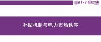 PPT｜補貼機制與電力市場秩序分析