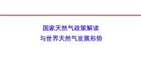 國家能源局原副局長張玉清：國家天然氣政策解讀與世界天然氣發(fā)展形勢(shì)