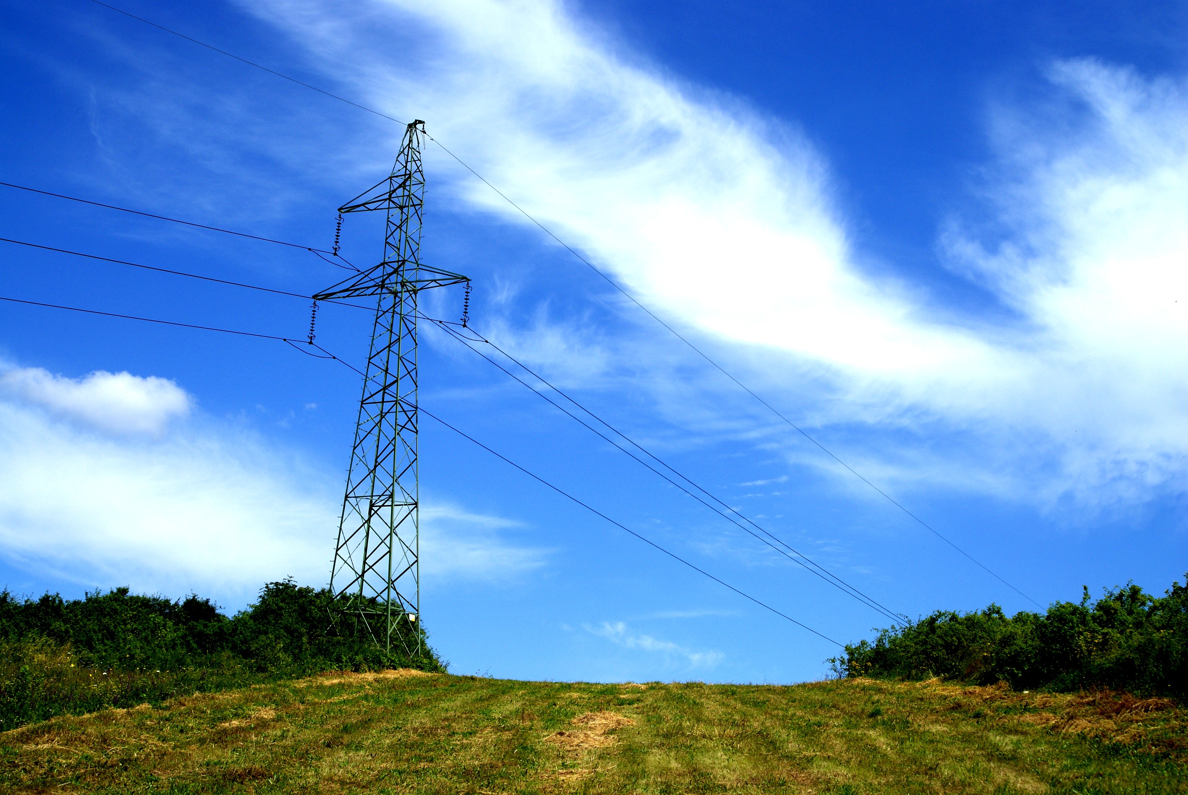 “疫情+降電價”沖擊兩大電網上半年業績